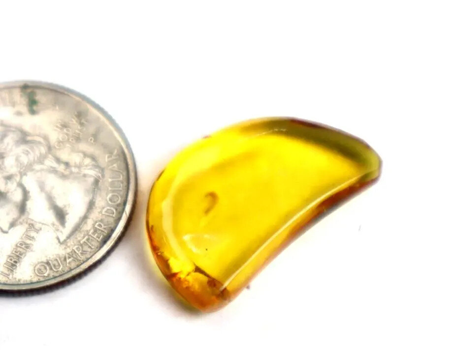 Excellent Natural Dominican Half Moon Crystal Clear Yellow Amber Polished Stone – photo 4