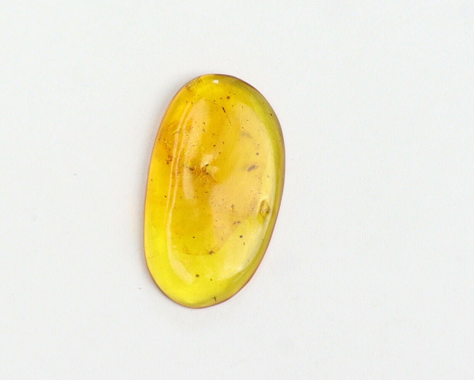 Biggest millions of years old Dominican Natural Amber Fossil Insect flies 35mm – photo 6