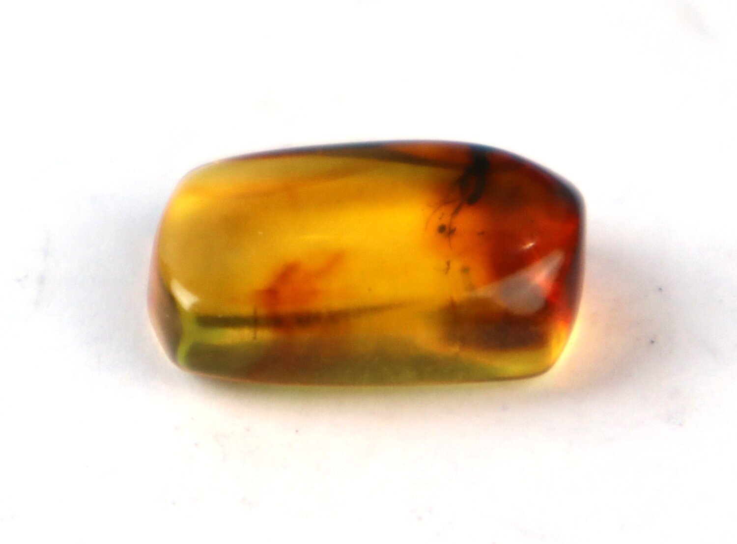 🟡 Natural Dominican Yellow Amber – Fossil Insect Inclusion – photo 6