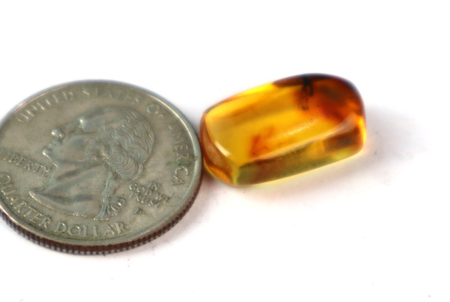 🟡 Natural Dominican Yellow Amber – Fossil Insect Inclusion – photo 7
