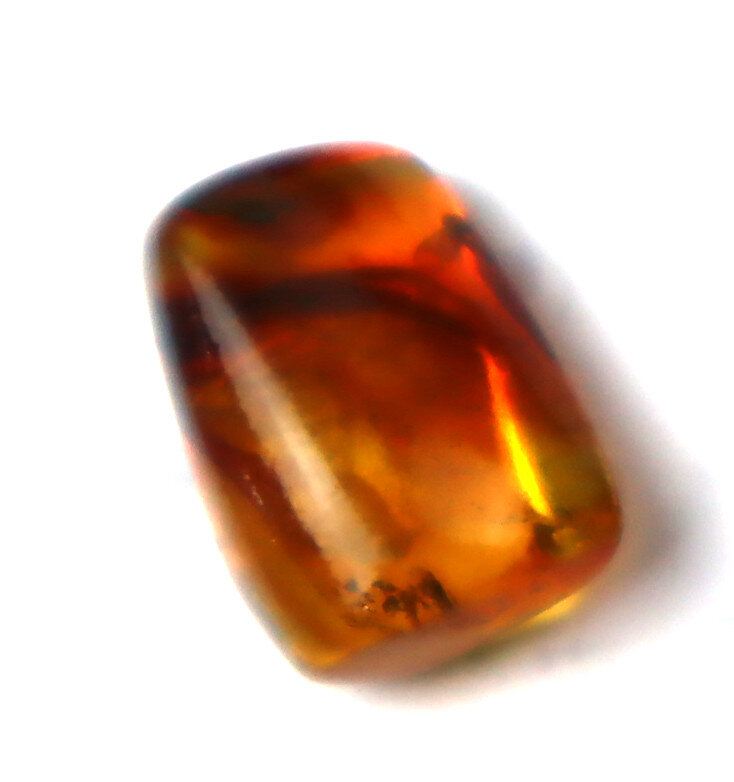 Beautiful Dominican Amber Fossil with Insect Inclusion – photo 4