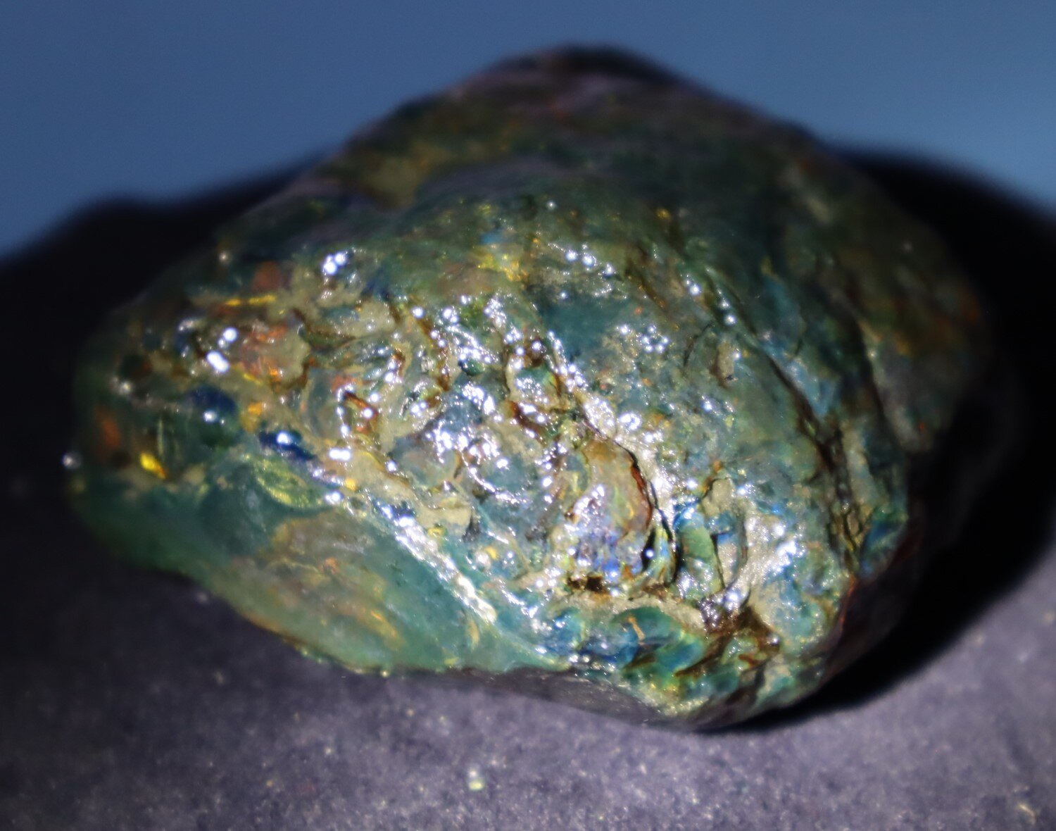 Natural Dominican Translucent Cognac Green Amber Rough Specimen 61mm 73.3g – photo 10